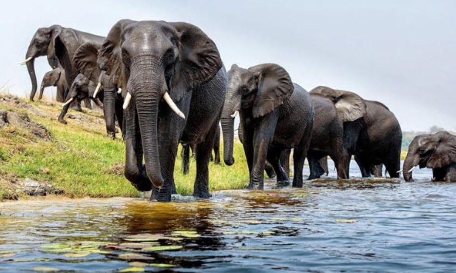Defence Island Wildlife Sanctuary, South Andaman, Andaman and Nicobar Islands - Vushii.com Defence Island Wildlife Sanctuary, South Andaman, Andaman and Nicobar Islands - Vushii.com